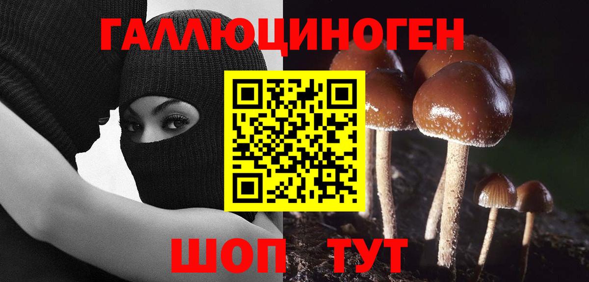 Псилоцибиновые грибы ЛСД Новошахтинск