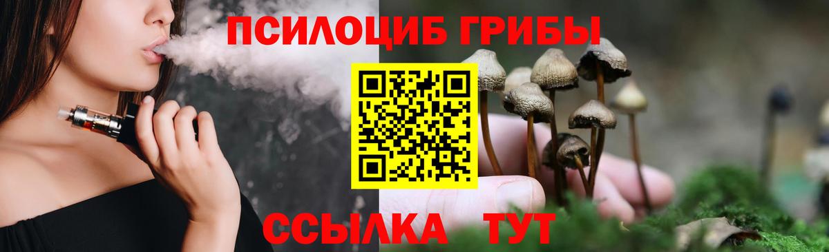 Галлюциногенные грибы Psilocybe  Вход с VPN  Новошахтинск 
